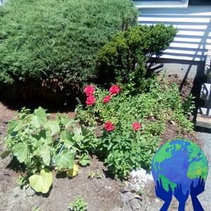 Meet your Posher, Ikenna maury